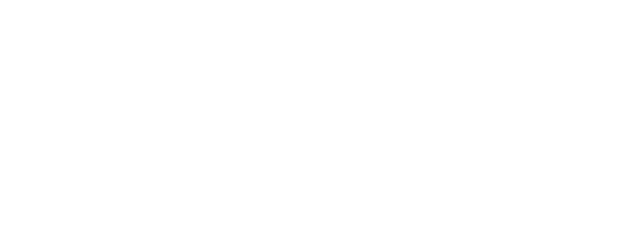 Wolfgang Ramos